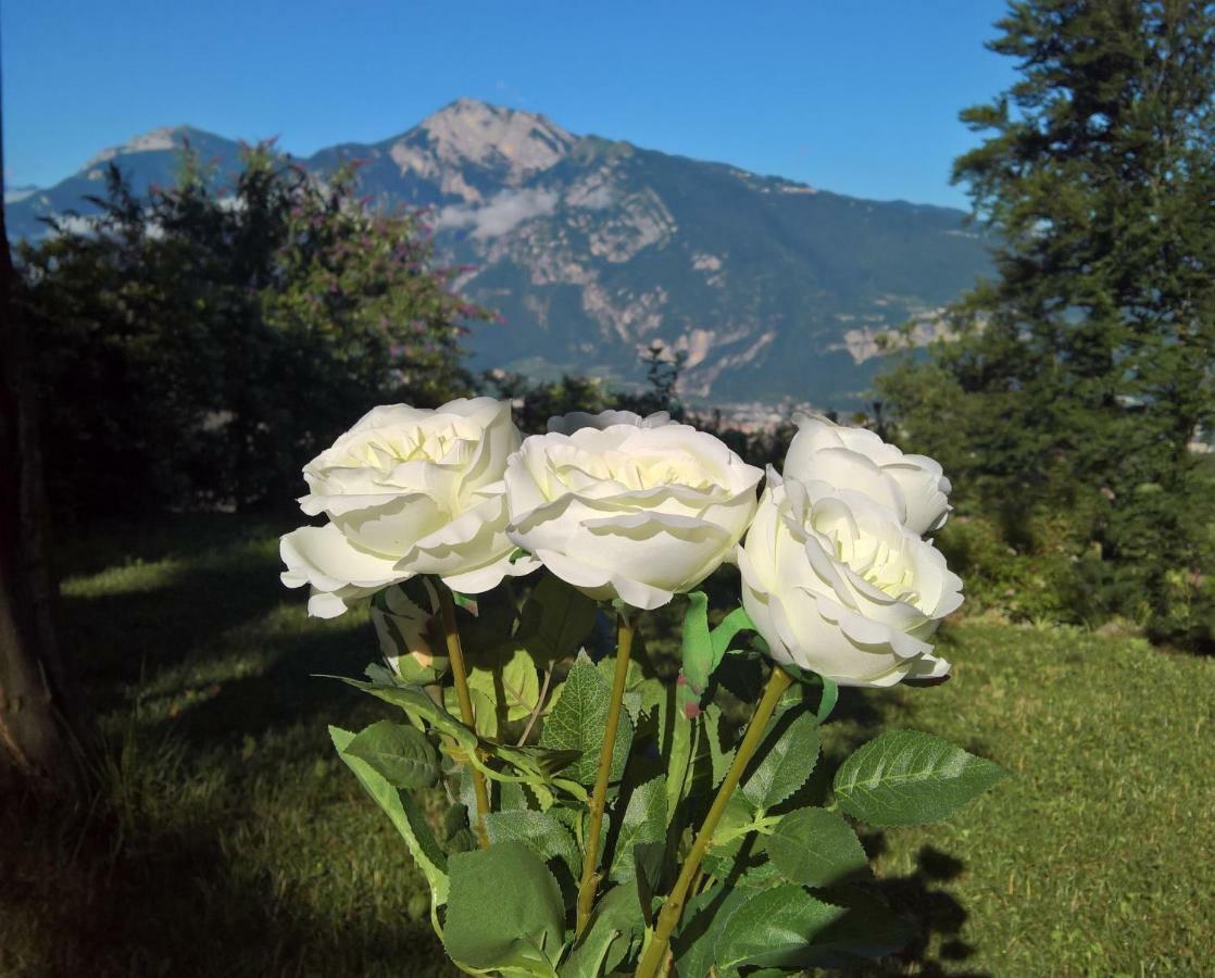 B&B White Rose Civezzano Buitenkant foto